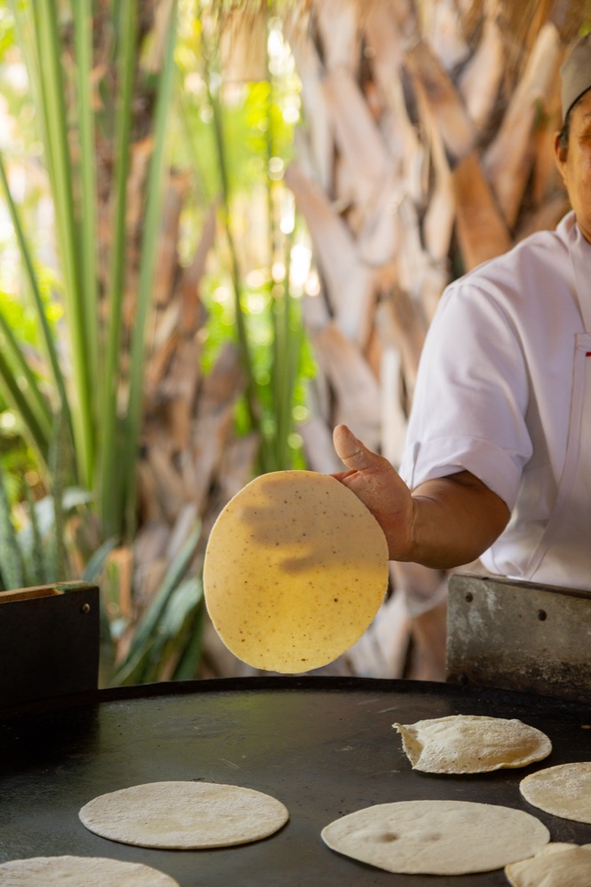 Tortillas recién hechas
